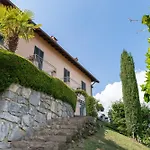 Belvedere *